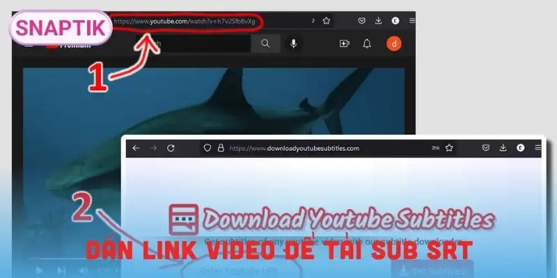 tai-sub-youtube-srt-dan-link-vao-cong-cu-tai