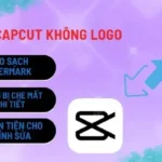 tai-video-capcut-khong-logo